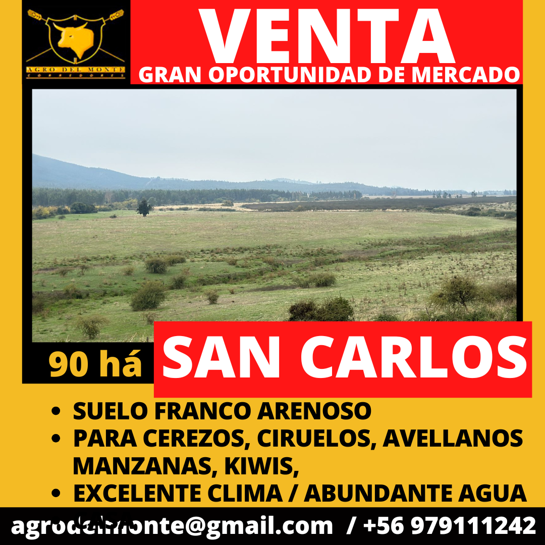 enero2025 (14)