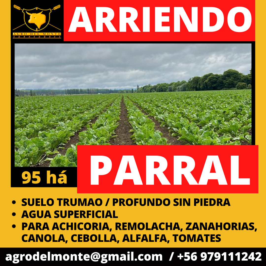 enero2025 (4)