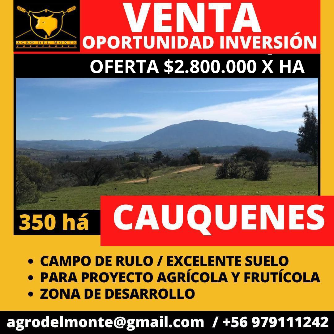 enero2025 (7)