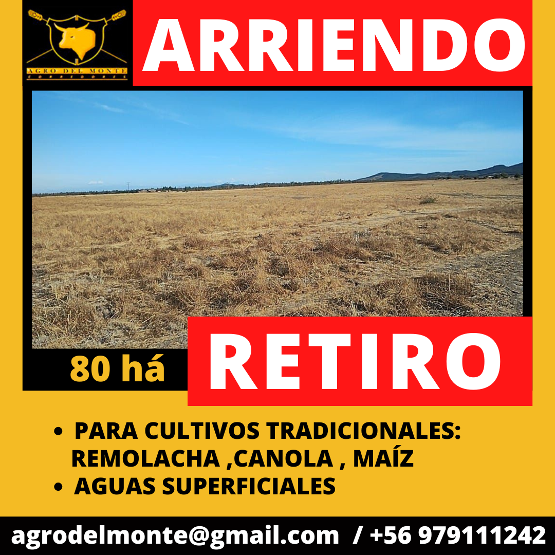 junio 2024 - 2025-04-12T014255.175