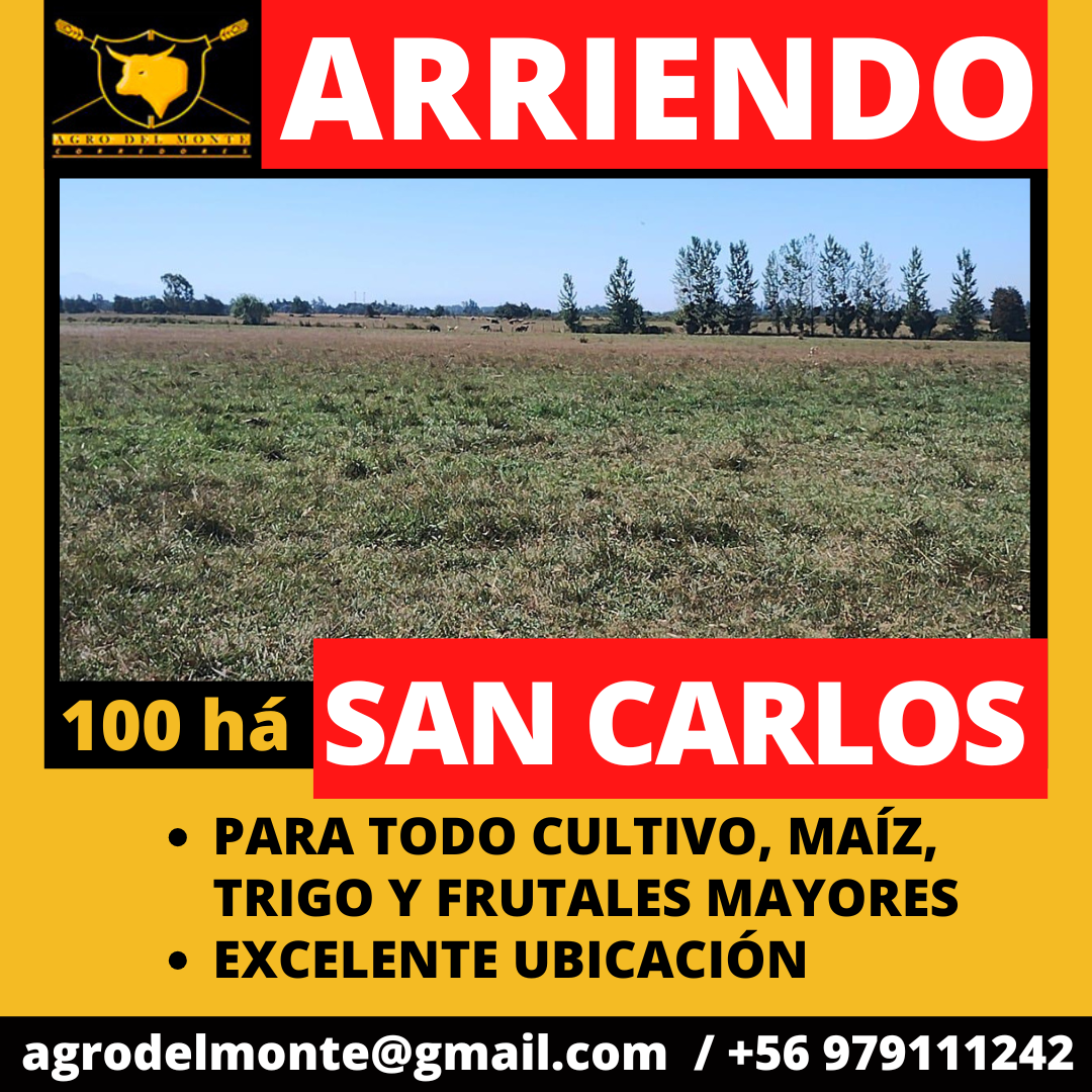 junio 2024 (35)