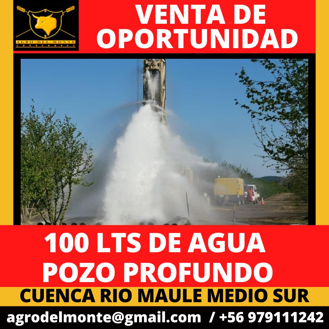 WhatsApp Image 2025-05-06 at 12.43.06