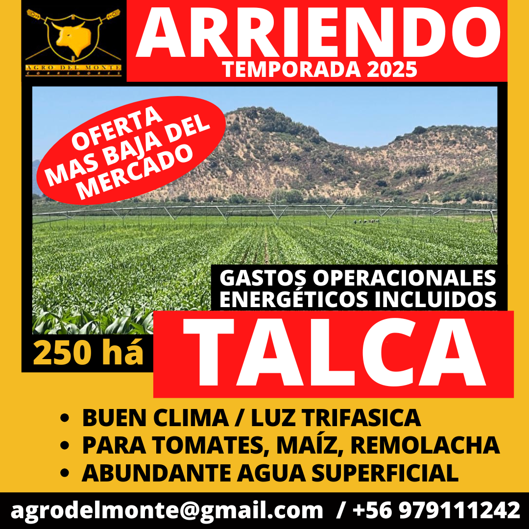 talca arriendo
