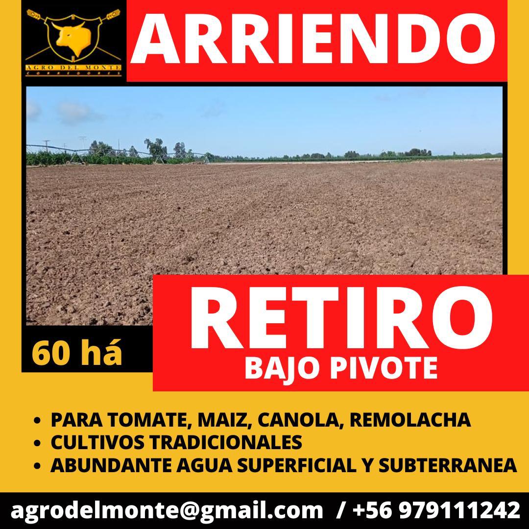 retiro bajo pivote
