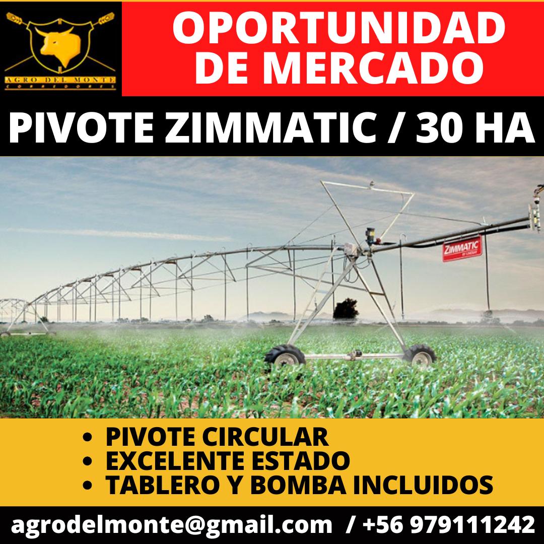 WhatsApp Image 2025-10-21 at 16.14.40