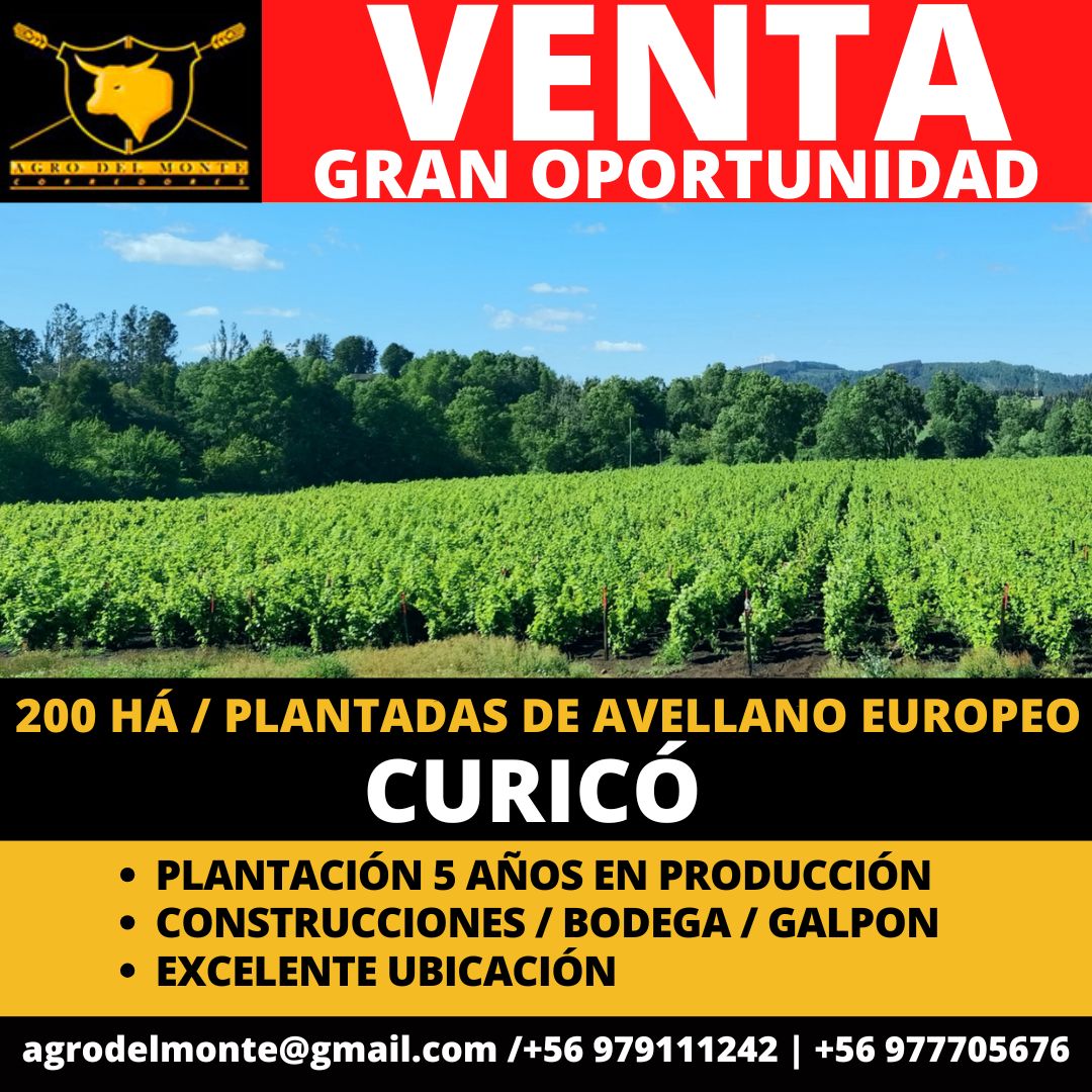 WhatsApp Image 2025-10-22 at 12.11.53