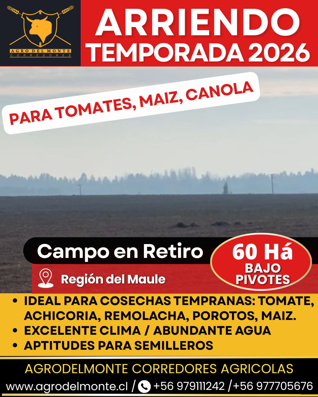 derechos de agua