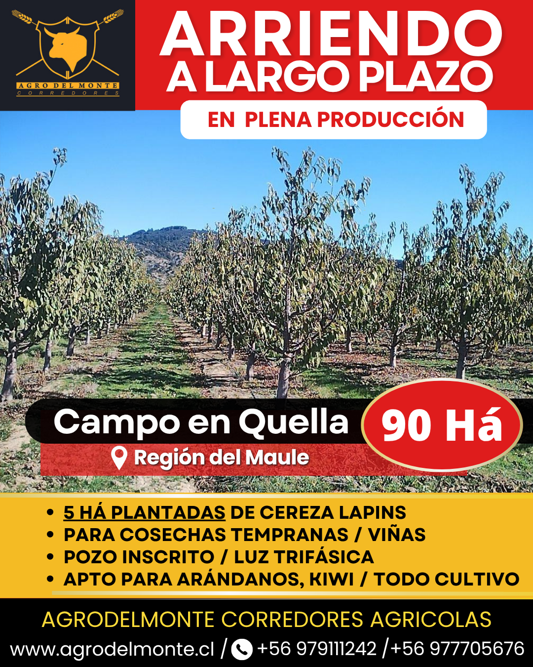 derechos de agua
