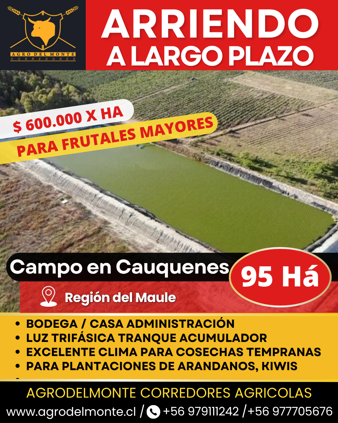 derechos de agua
