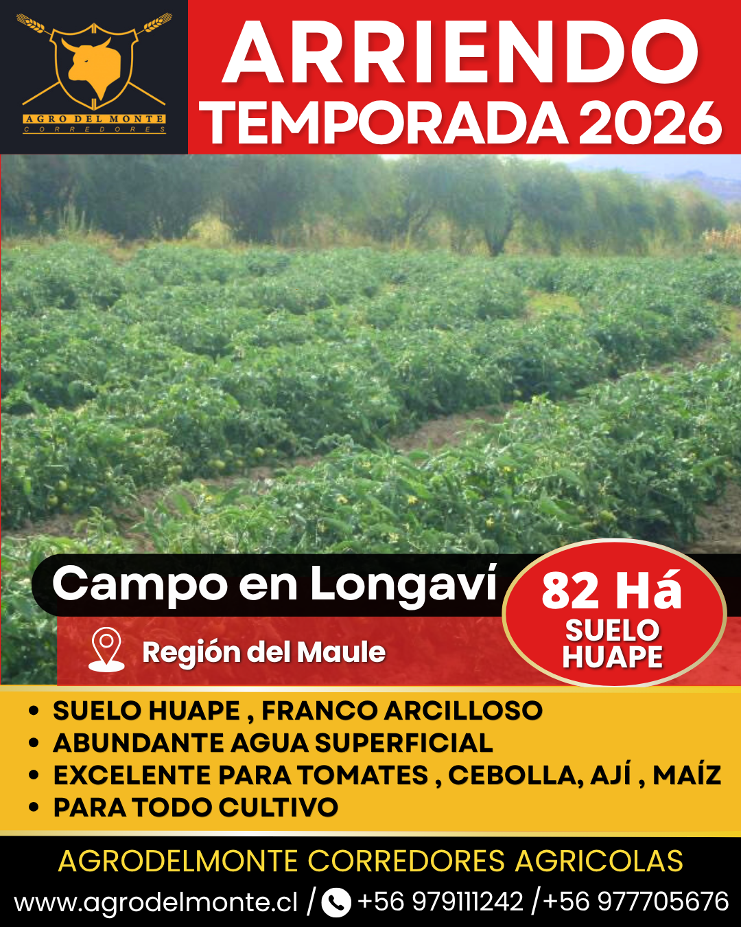 derechos de agua