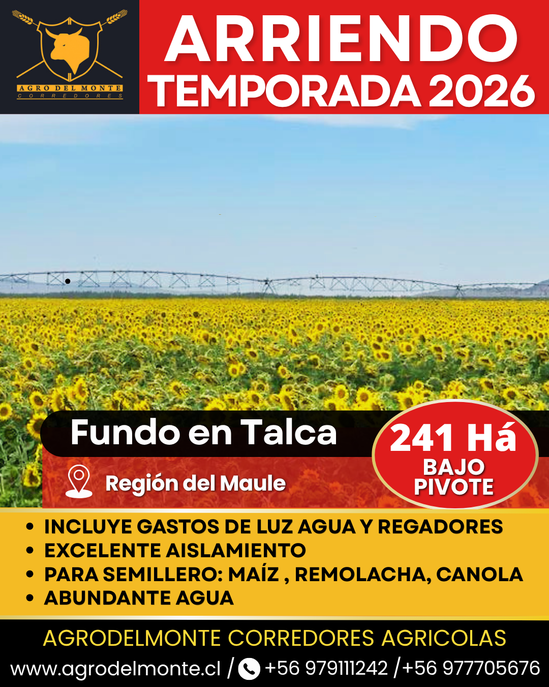 derechos de agua