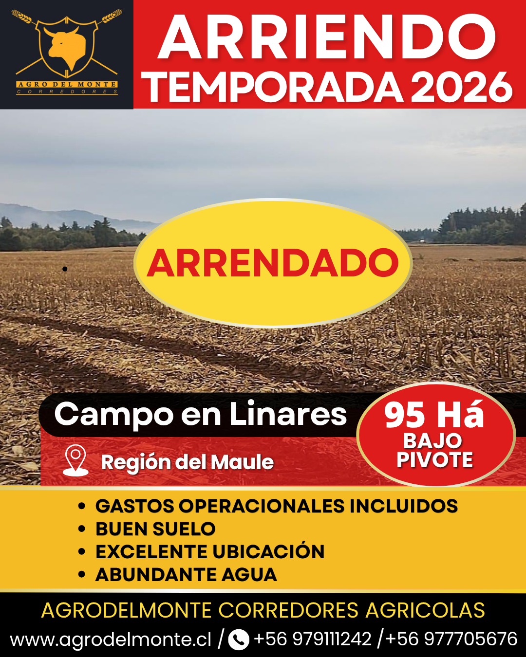derechos de agua
