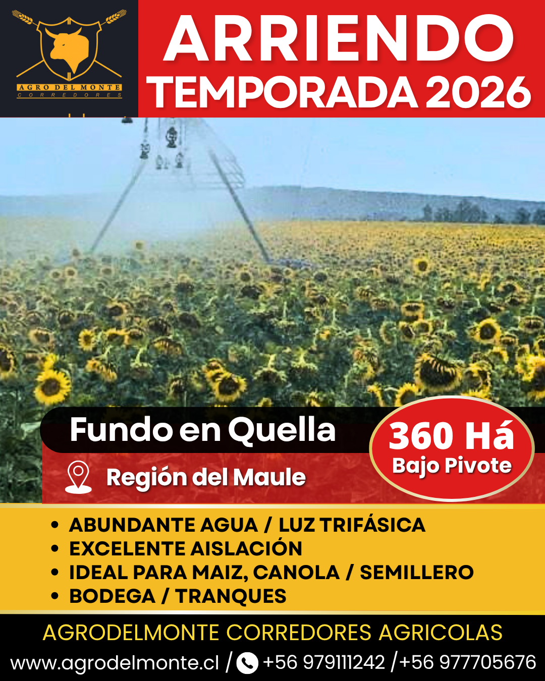 derechos de agua